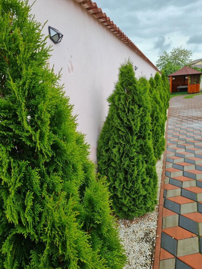Vila Nicholas Barcanesti Экстерьер фото
